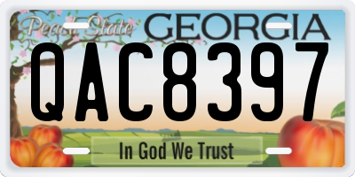 GA license plate QAC8397