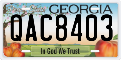 GA license plate QAC8403
