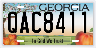GA license plate QAC8411