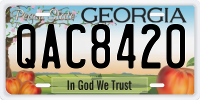 GA license plate QAC8420