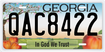 GA license plate QAC8422