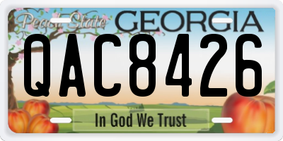 GA license plate QAC8426