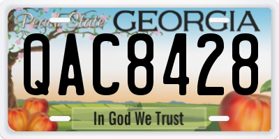 GA license plate QAC8428