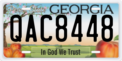 GA license plate QAC8448