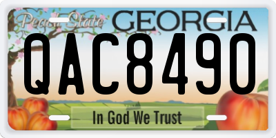 GA license plate QAC8490