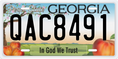GA license plate QAC8491