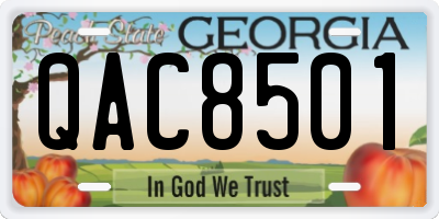GA license plate QAC8501