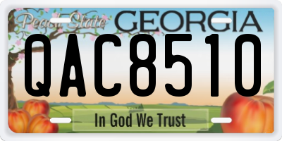 GA license plate QAC8510