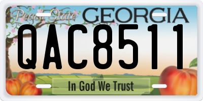 GA license plate QAC8511