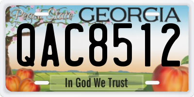 GA license plate QAC8512