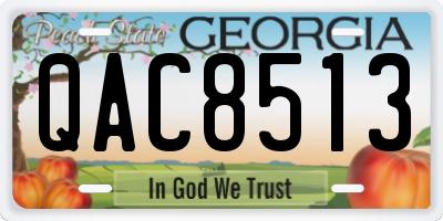 GA license plate QAC8513