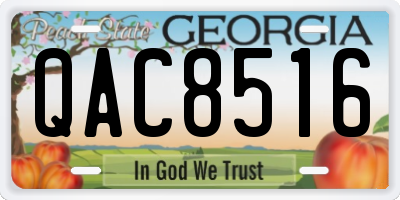 GA license plate QAC8516