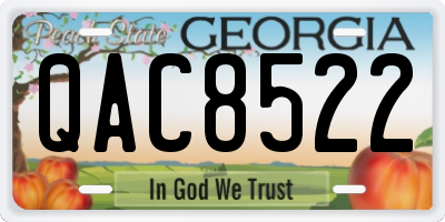 GA license plate QAC8522