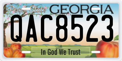 GA license plate QAC8523