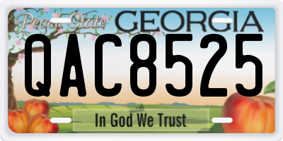 GA license plate QAC8525