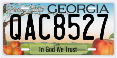 GA license plate QAC8527