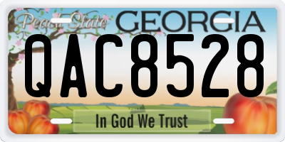 GA license plate QAC8528