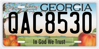 GA license plate QAC8530