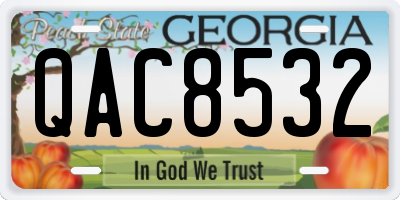 GA license plate QAC8532