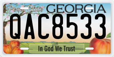 GA license plate QAC8533