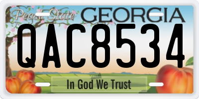 GA license plate QAC8534