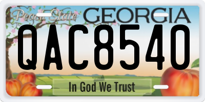 GA license plate QAC8540