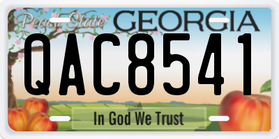 GA license plate QAC8541