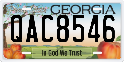 GA license plate QAC8546