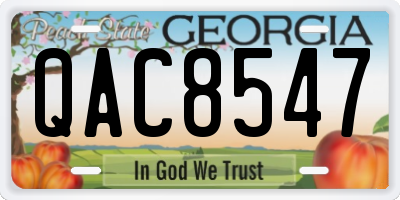 GA license plate QAC8547
