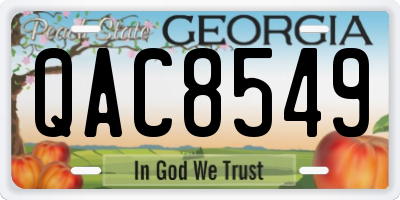 GA license plate QAC8549