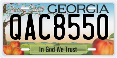 GA license plate QAC8550