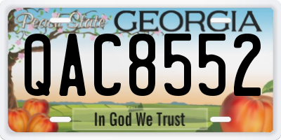 GA license plate QAC8552