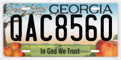 GA license plate QAC8560