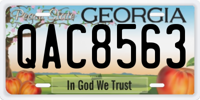 GA license plate QAC8563