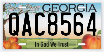 GA license plate QAC8564