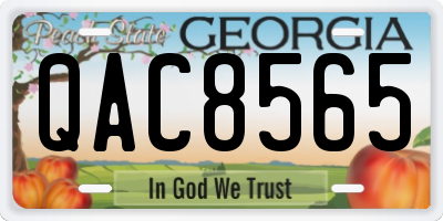 GA license plate QAC8565