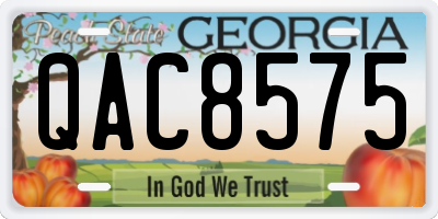 GA license plate QAC8575