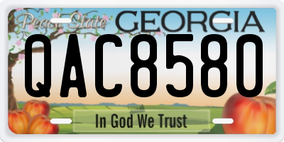 GA license plate QAC8580