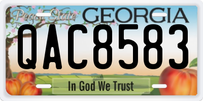 GA license plate QAC8583