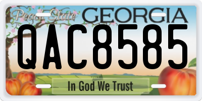 GA license plate QAC8585