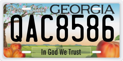 GA license plate QAC8586