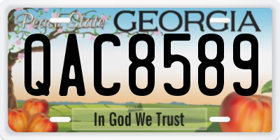 GA license plate QAC8589