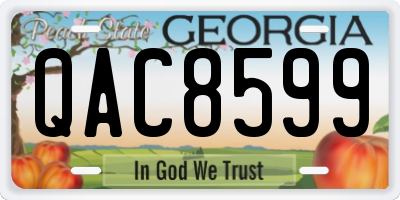 GA license plate QAC8599