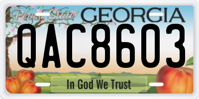 GA license plate QAC8603