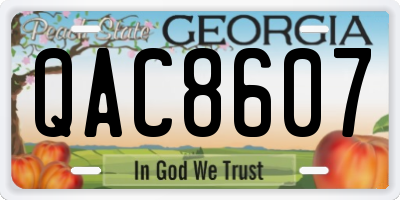 GA license plate QAC8607