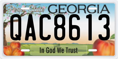 GA license plate QAC8613