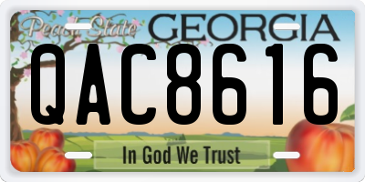 GA license plate QAC8616