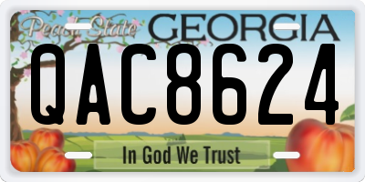GA license plate QAC8624