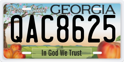 GA license plate QAC8625