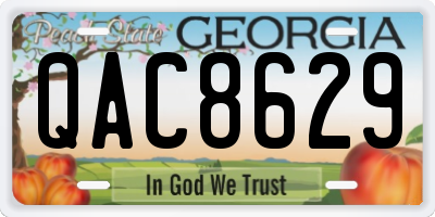 GA license plate QAC8629